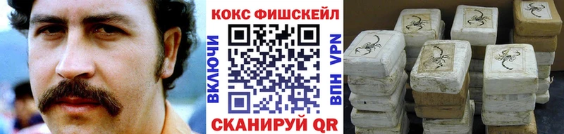 гидра ССЫЛКА  купить наркотики сайты  Спасск  COCAIN Fish Scale 