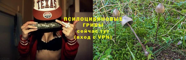 прущая мука Покачи
